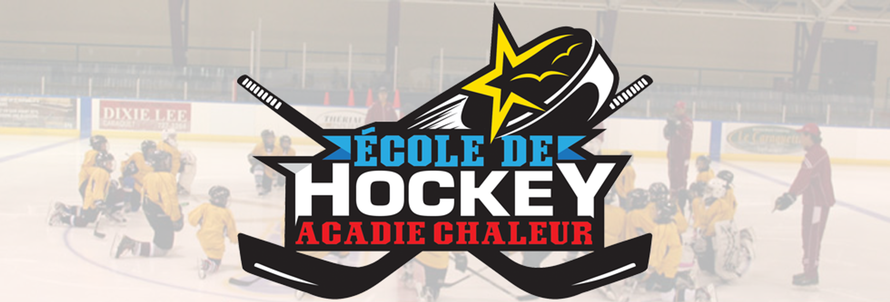 Remise en forme Hockey