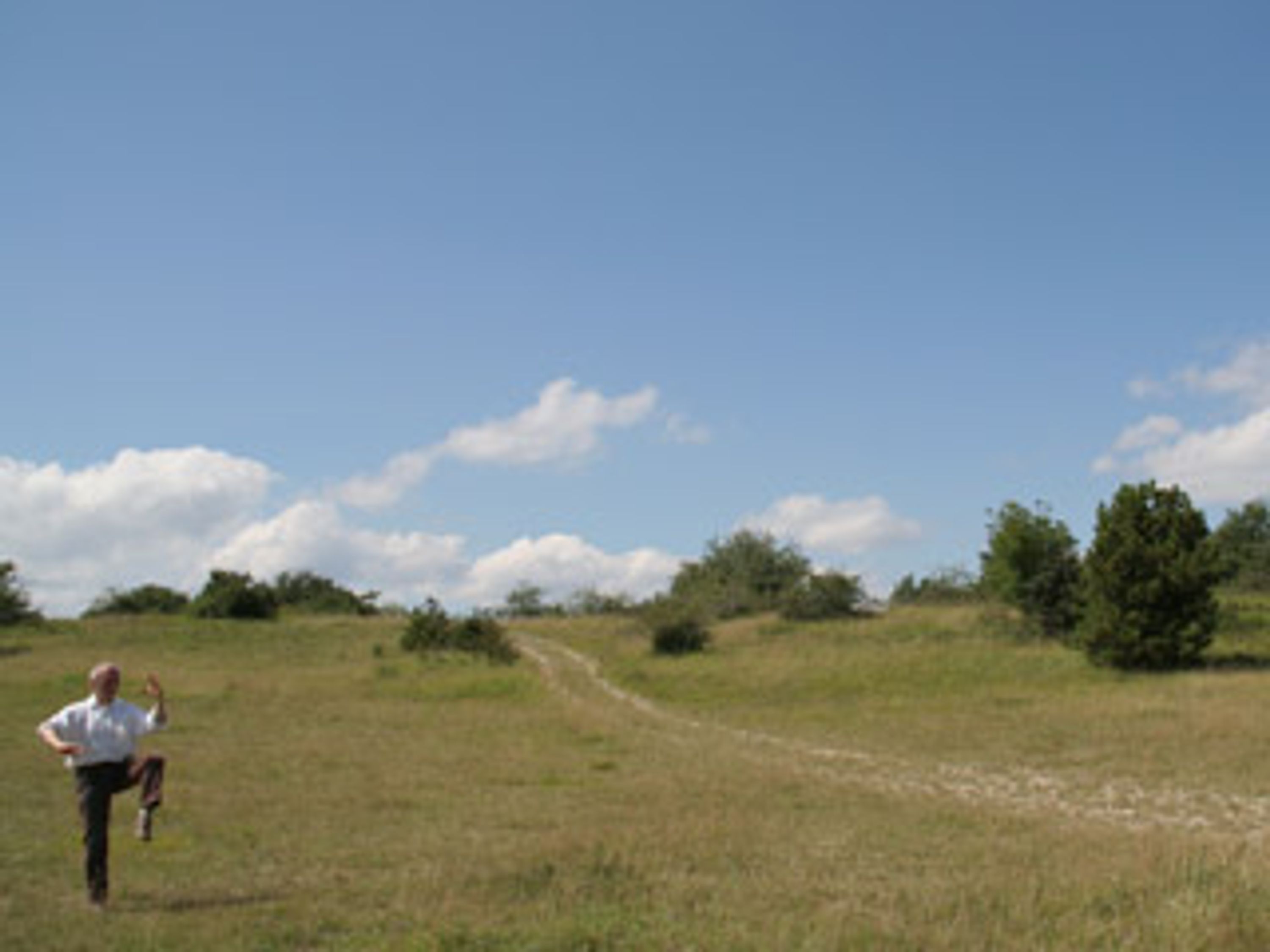 Tai Chi Chuan Et Qi Gong
