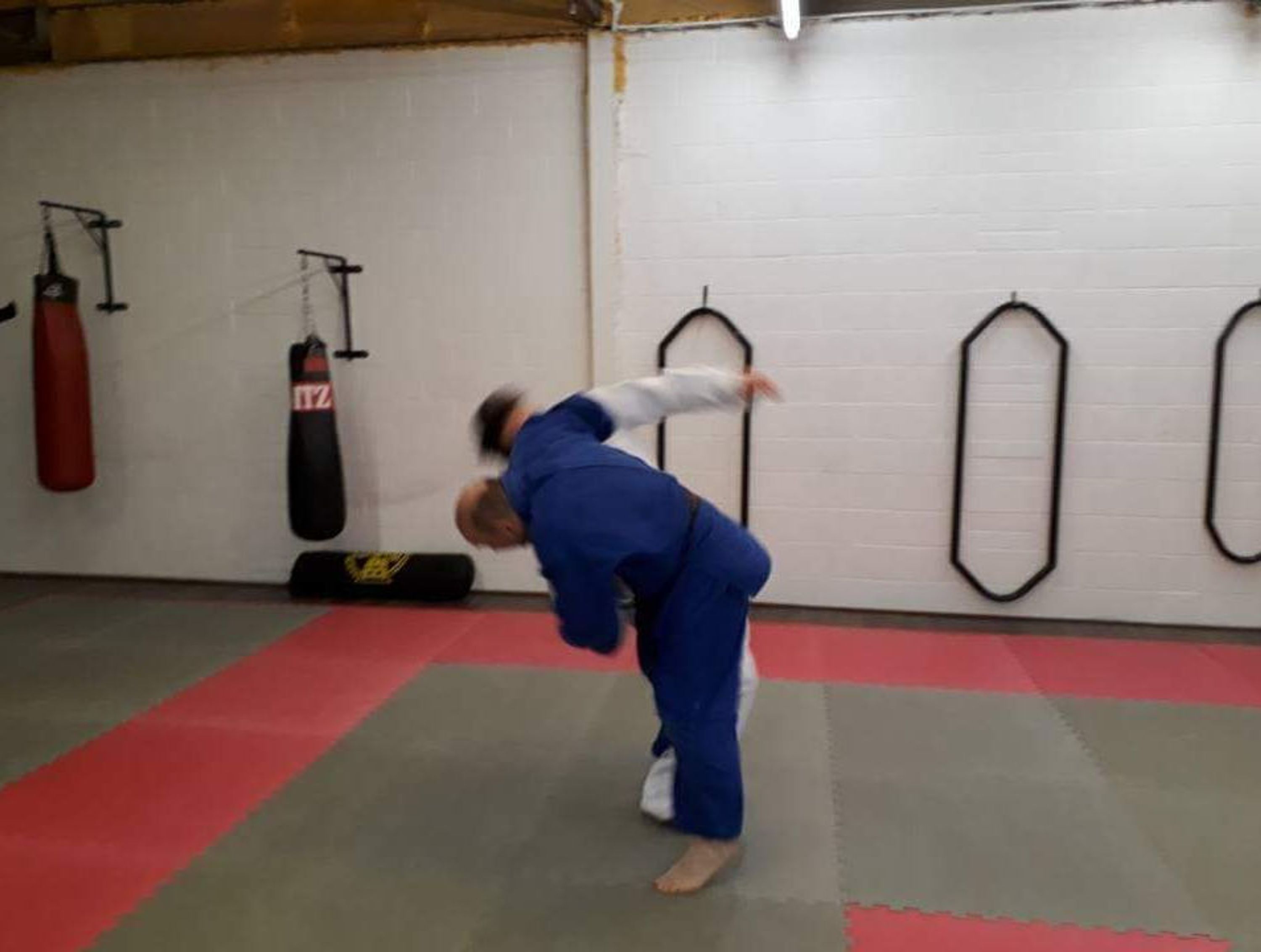 Jurassic Judo