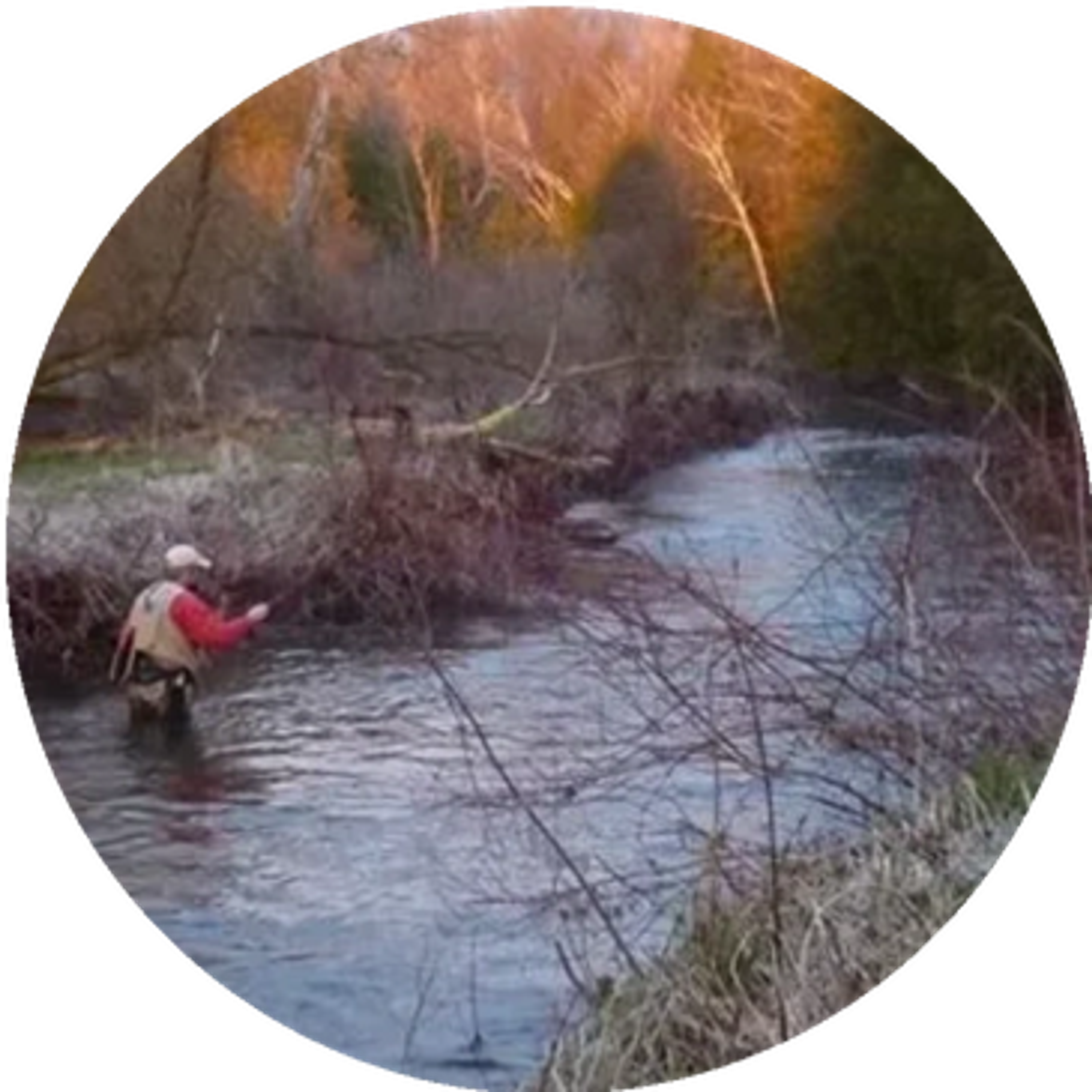 Cold Creek Fly Fishers