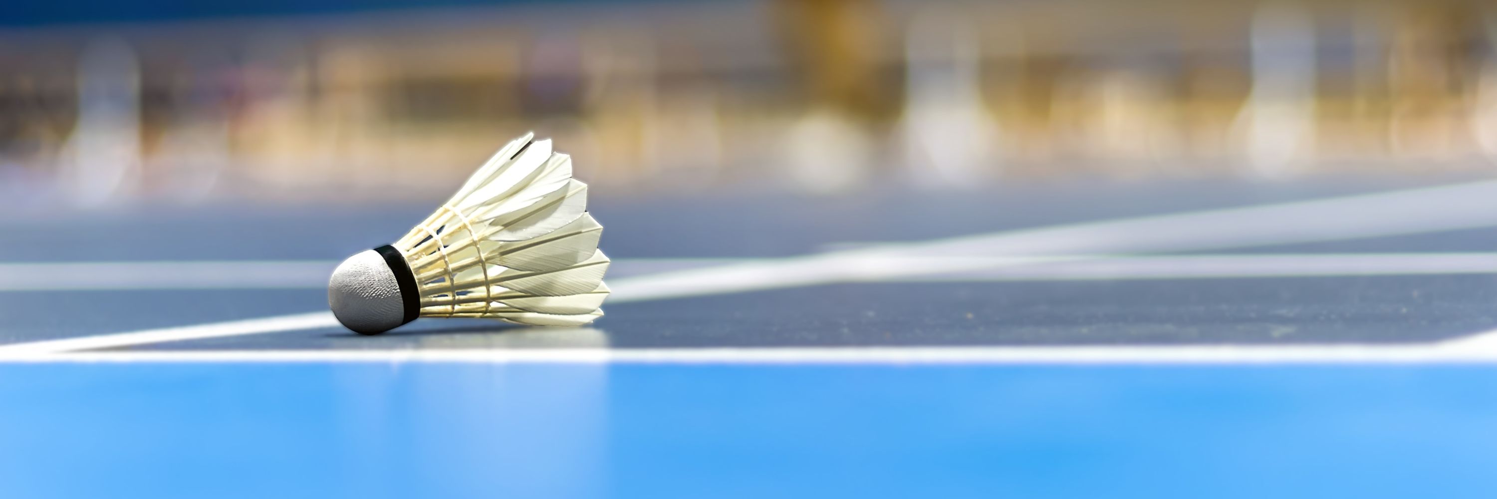Social Badminton