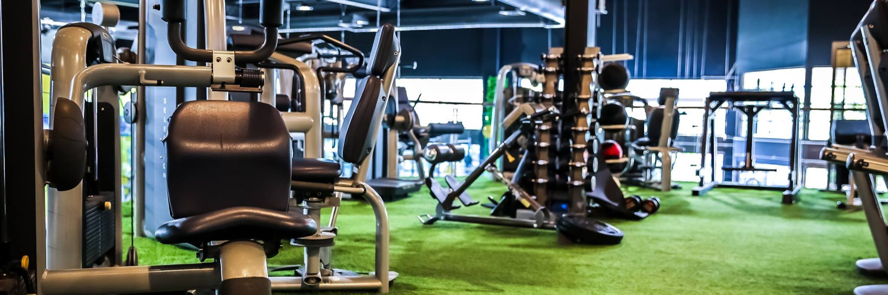 Bodyfit - Auburn