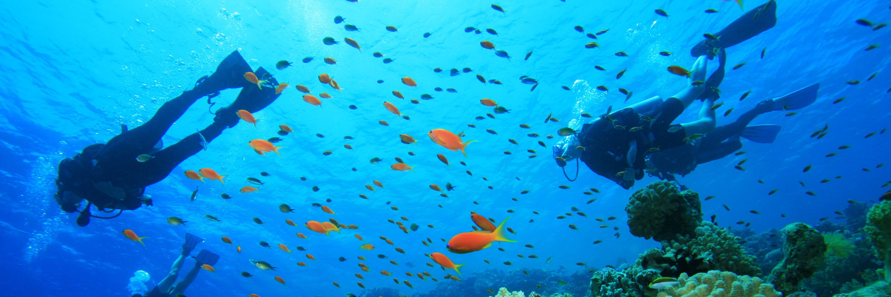 Australian Underwater Federation