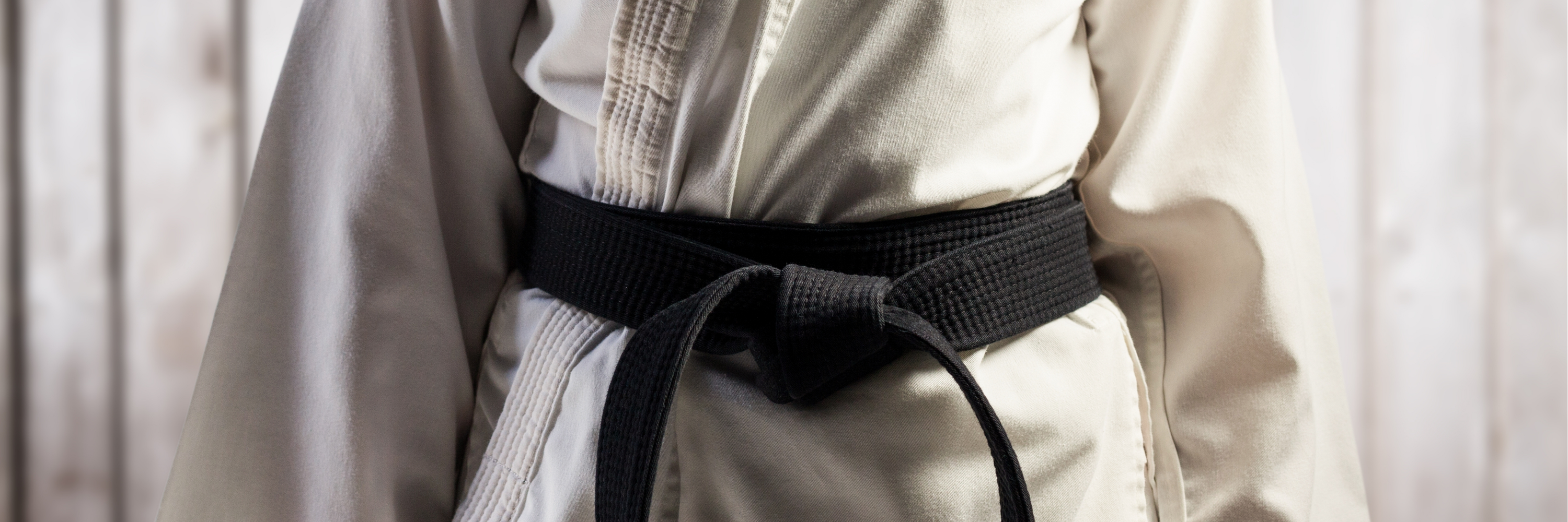 Kyokushin International Karate Organisation Camp 2019