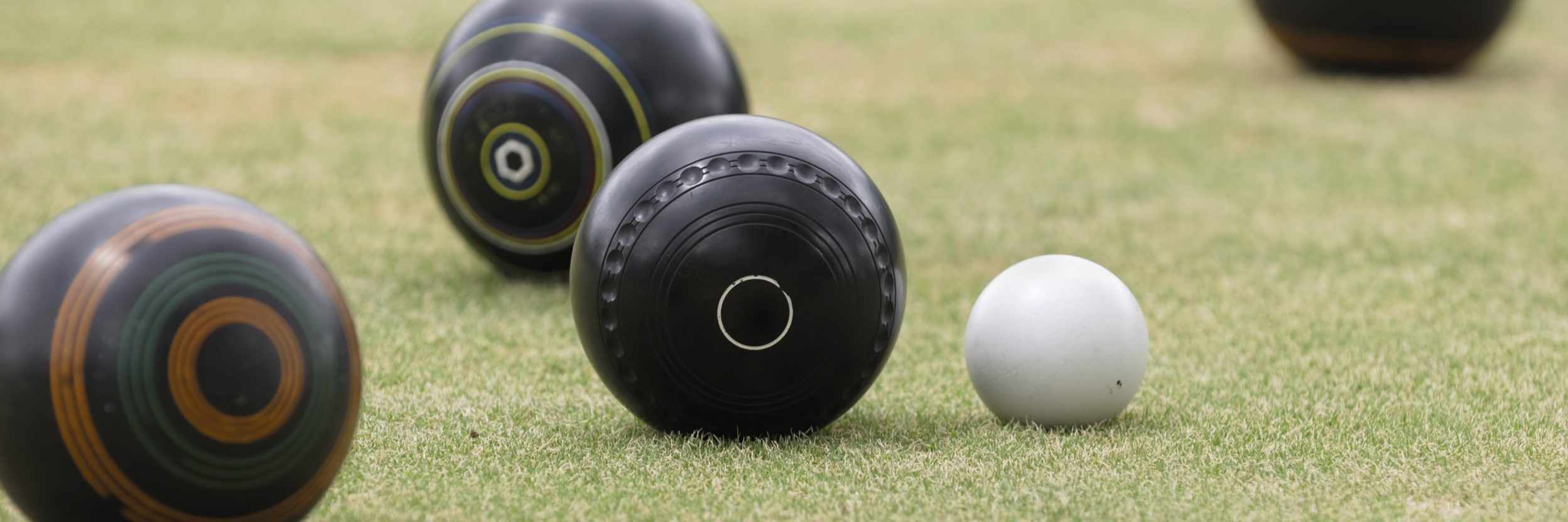 Balmain Barefoot Bowls Balmain Barefoot Bowls