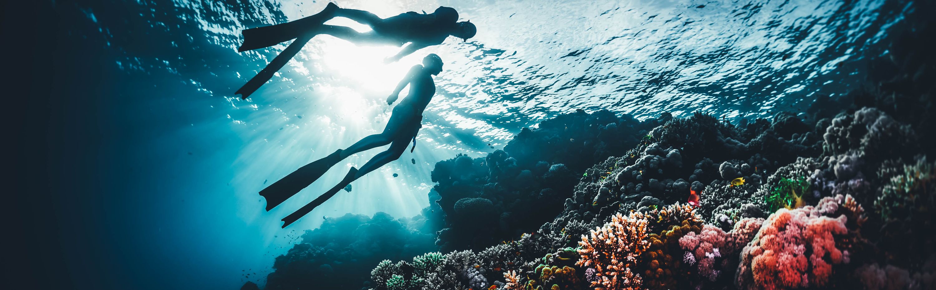 Scuba Diving banner
