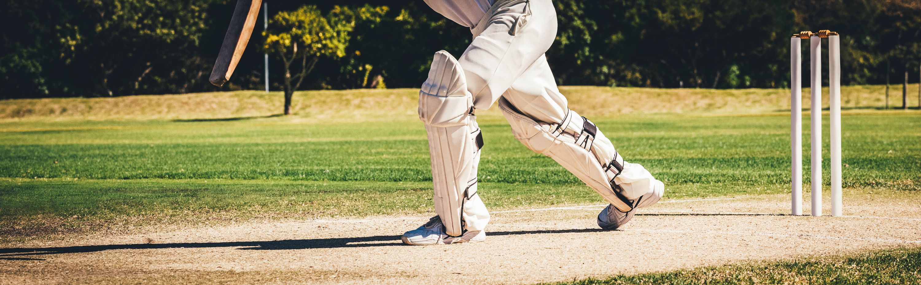 Cricket banner