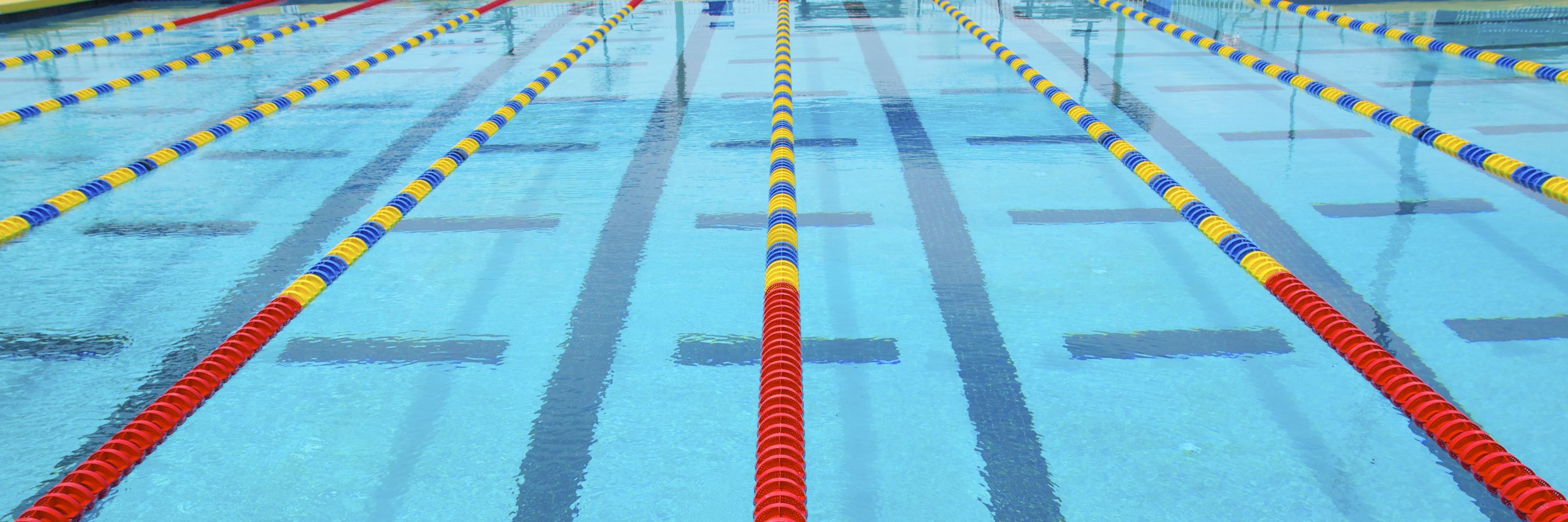 Elite Swimming Performance - Pascoe Vale
