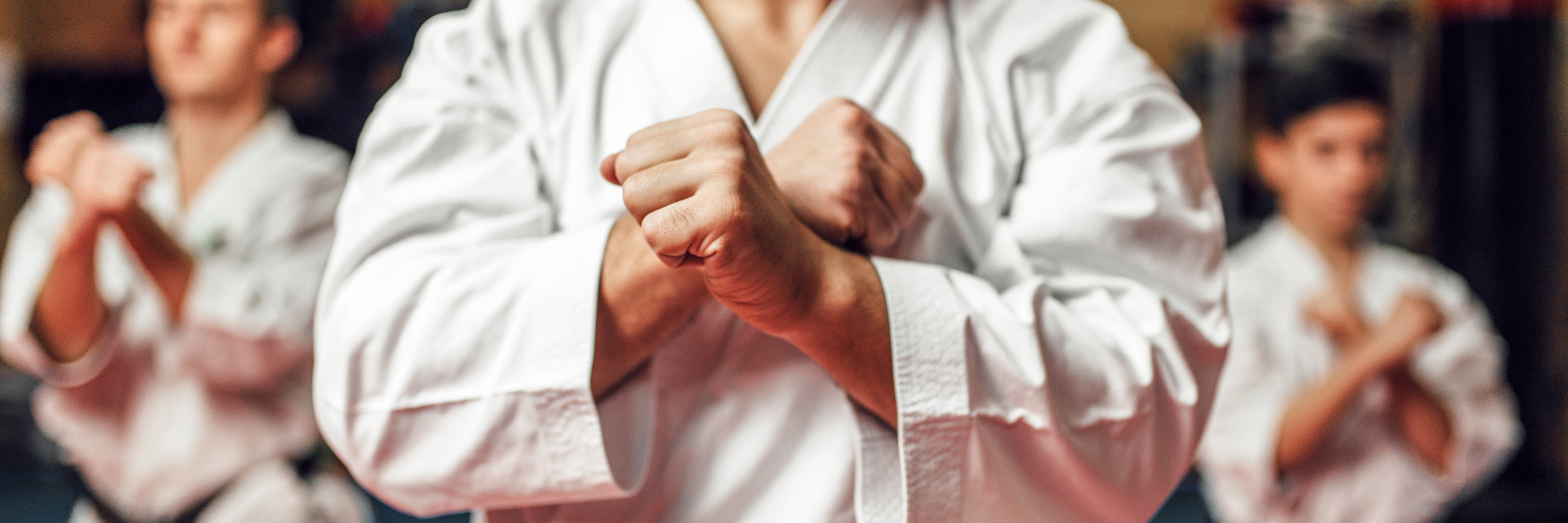 Sydney International Open IBJJF Jiu-Jitsu Championship