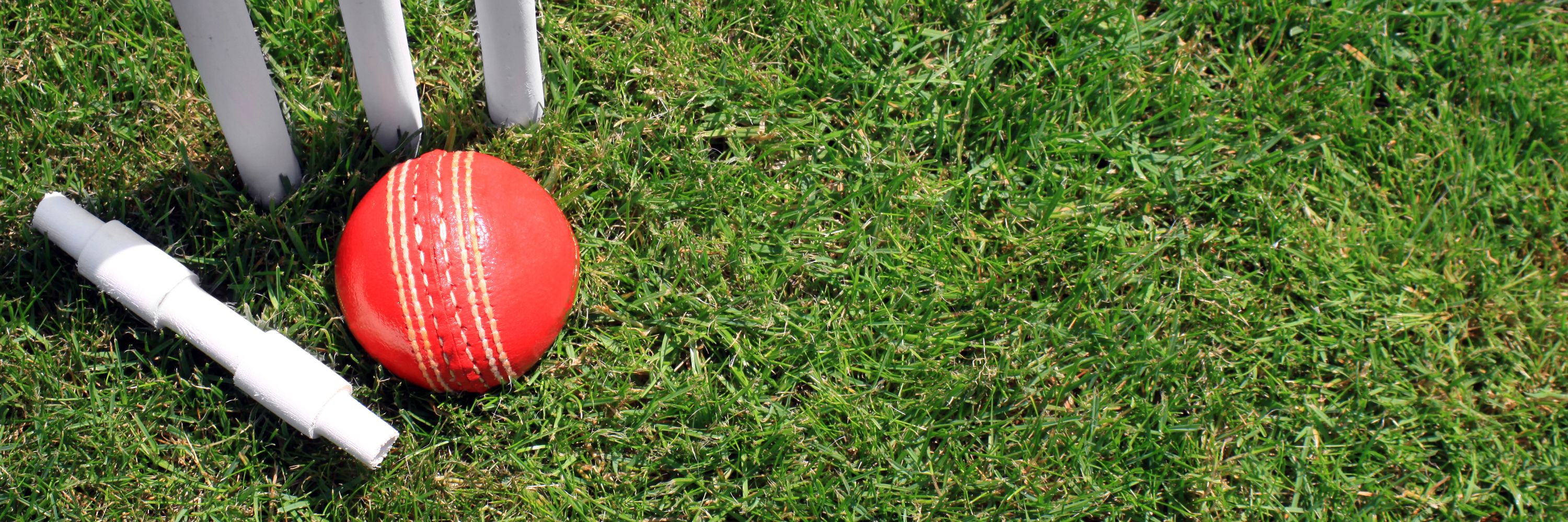 Sydney Pro Cricket Camp Sydney Pro Cricket Camp