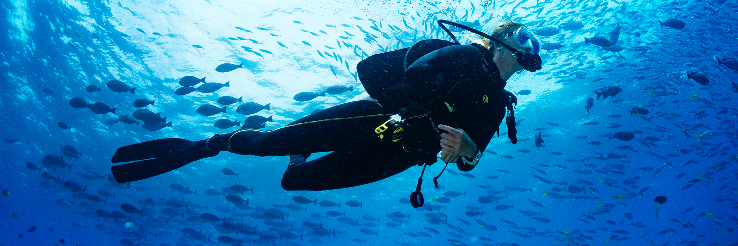Scuba Diving Weekend Course