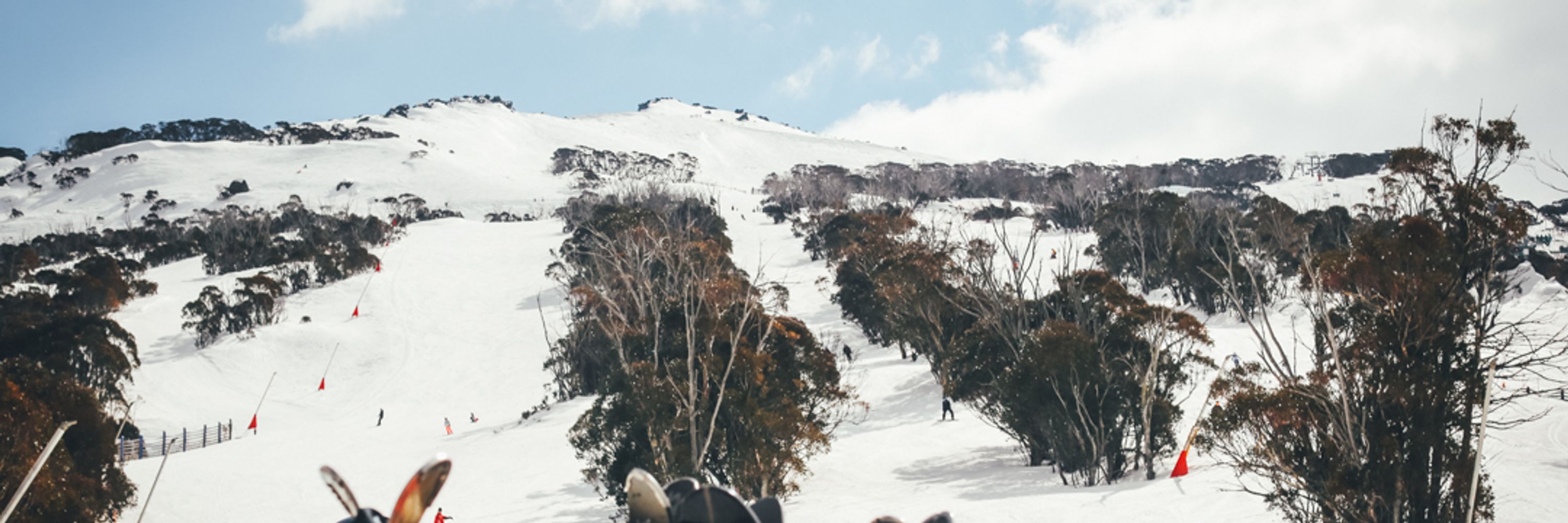 Thredbo Alpine Club