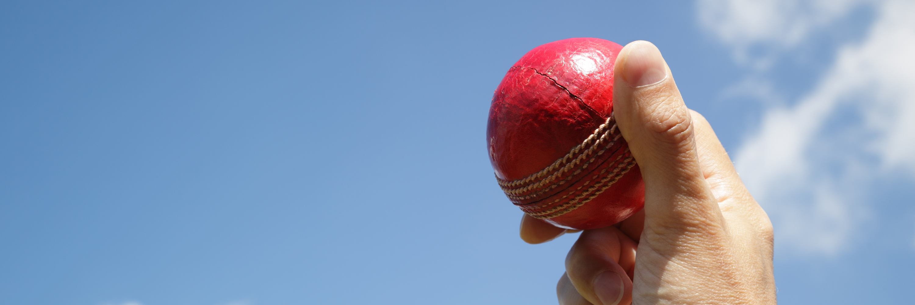 Cricket Skills Clinic Cricket Skills Clinic