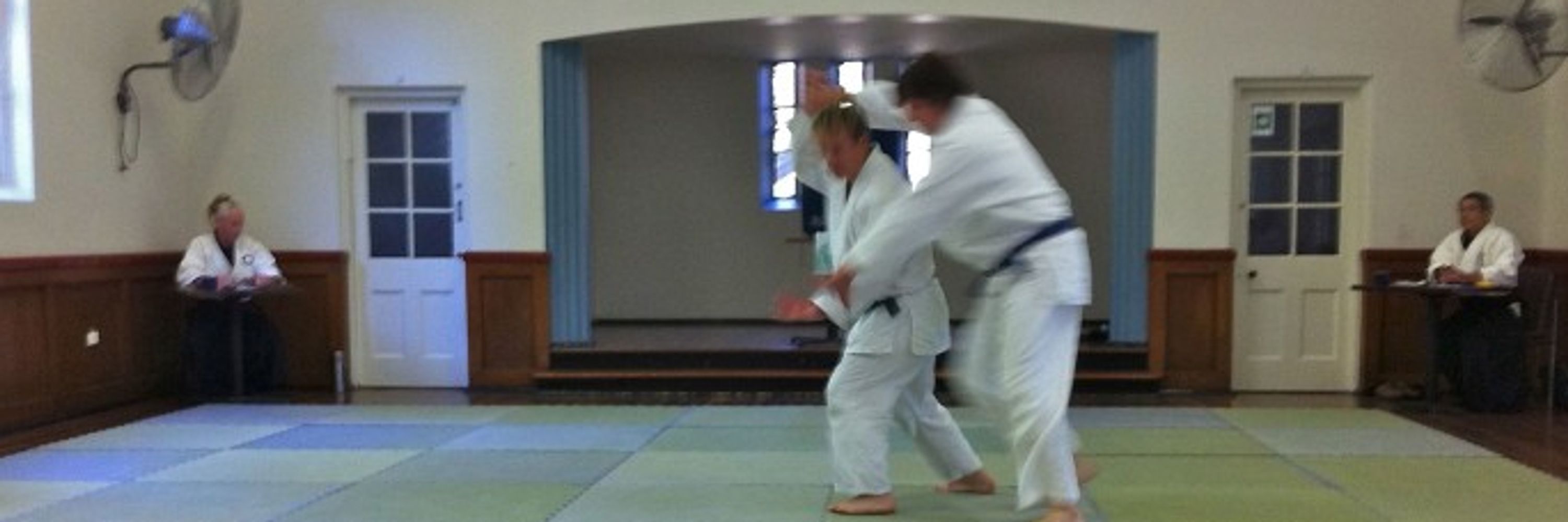 Fujinami Dojo