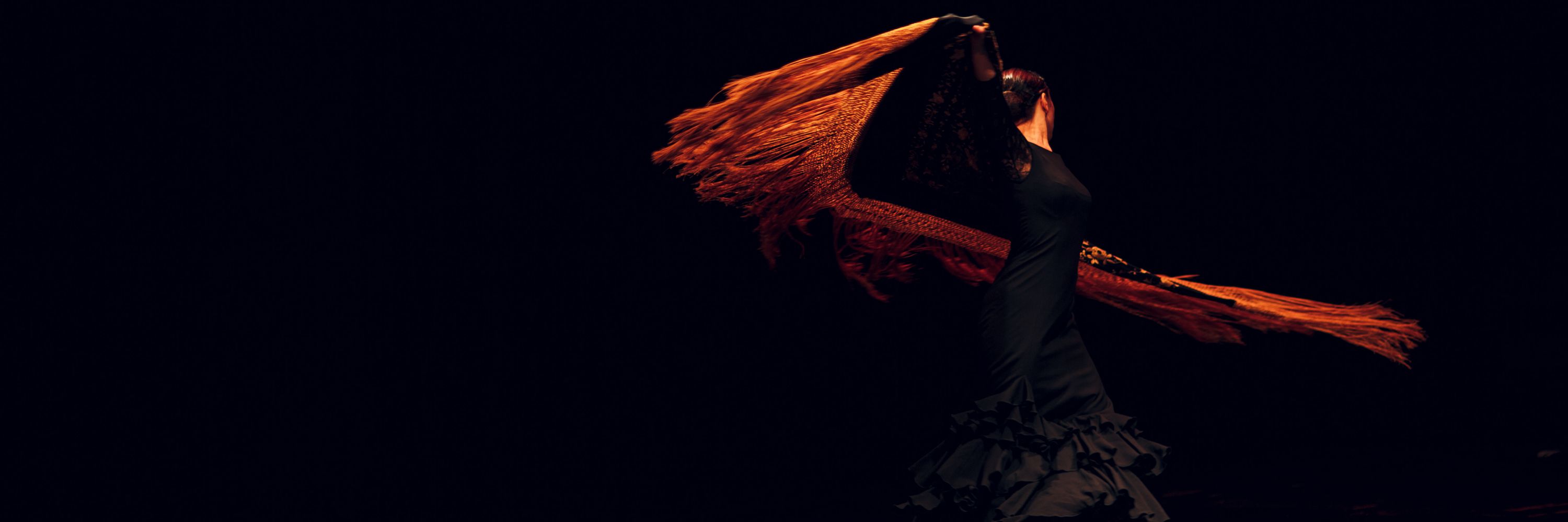 Diana Reyes Flamenco Studio