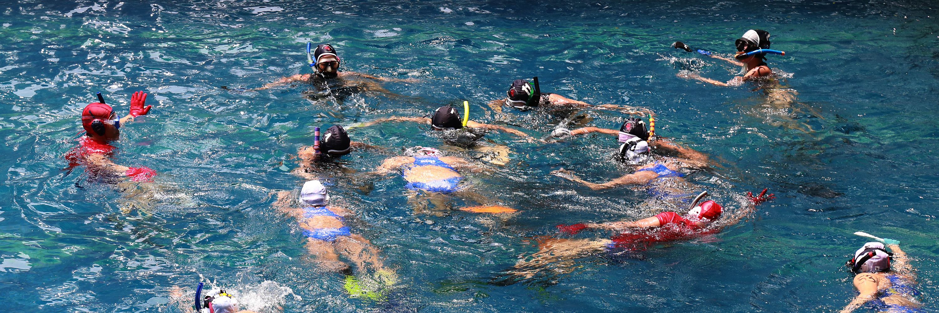 Wollongong Underwater Hockey Club