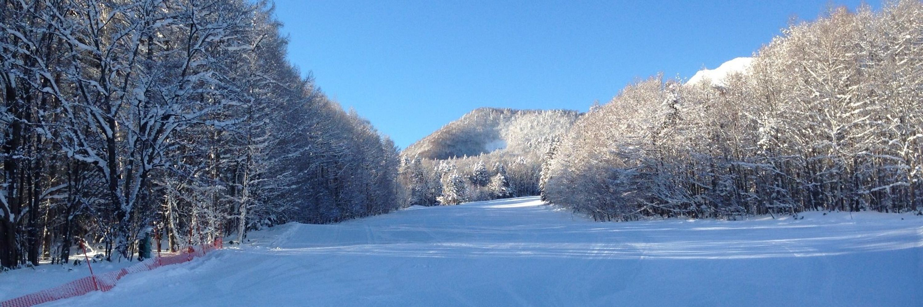 Harry Gotto Snow Club