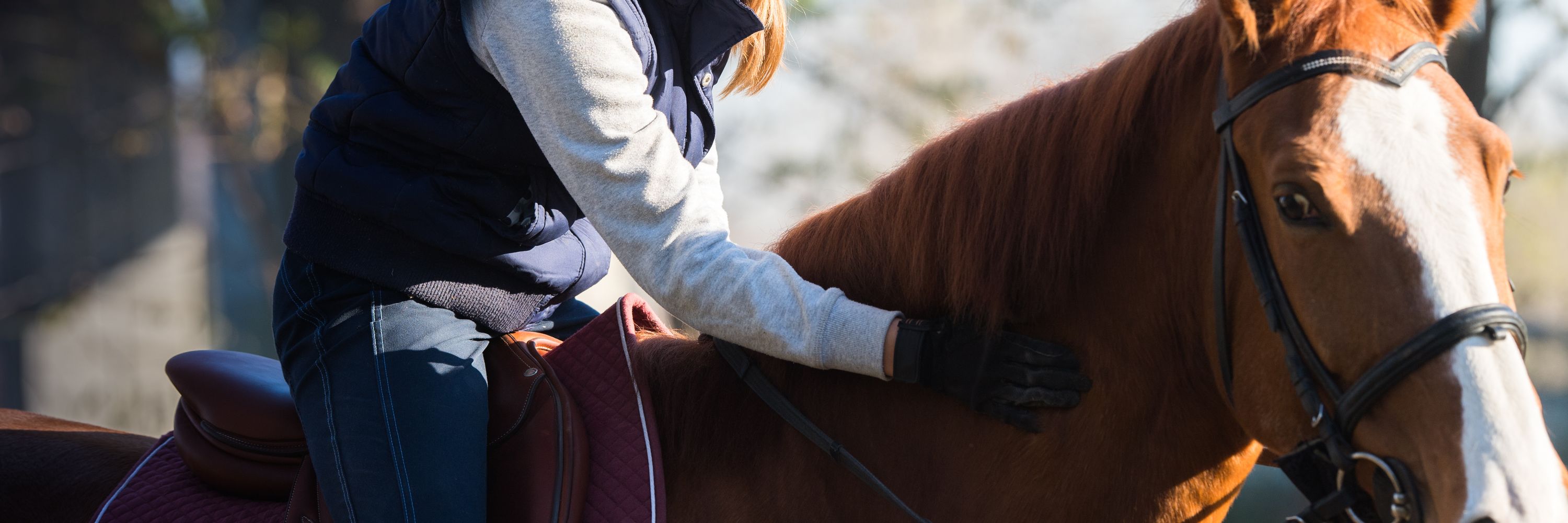 Manly Warringah Pittwater Pony Club