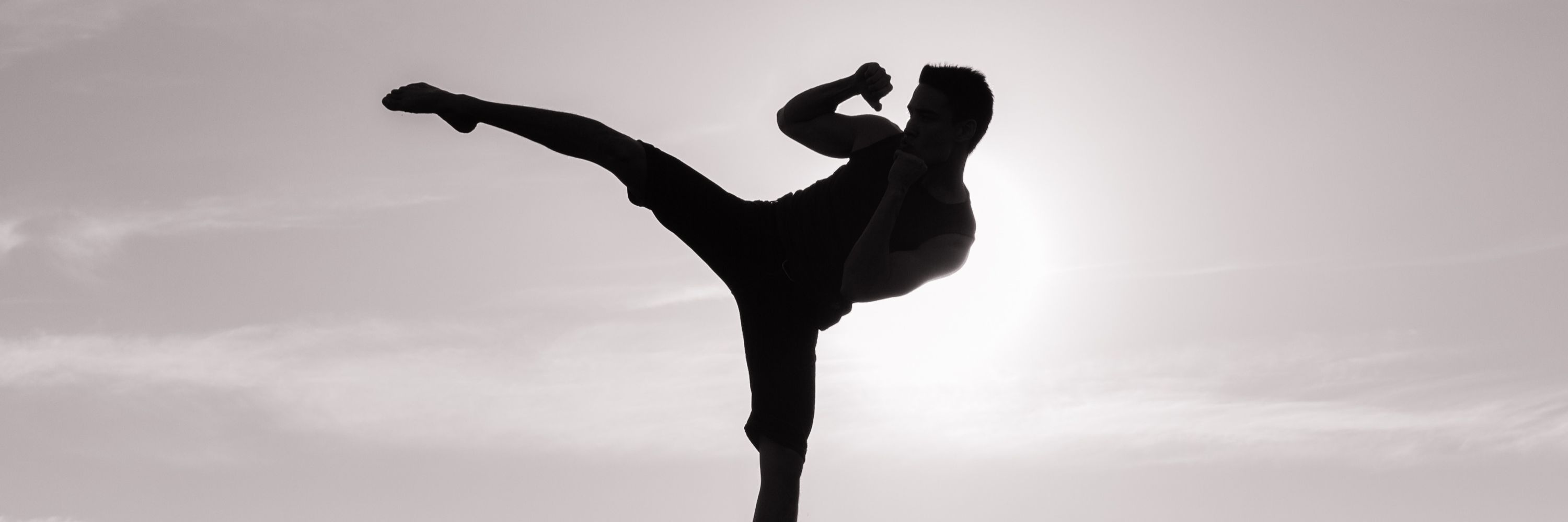 MMA Training (All Levels)