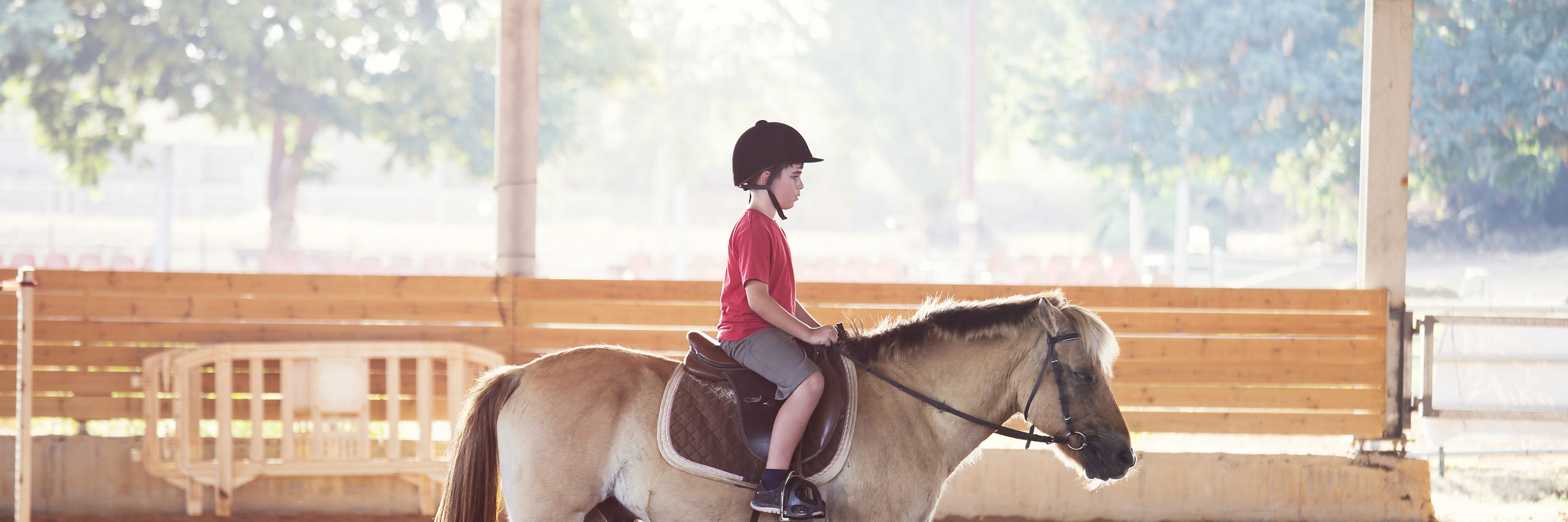 Junior Stable Day