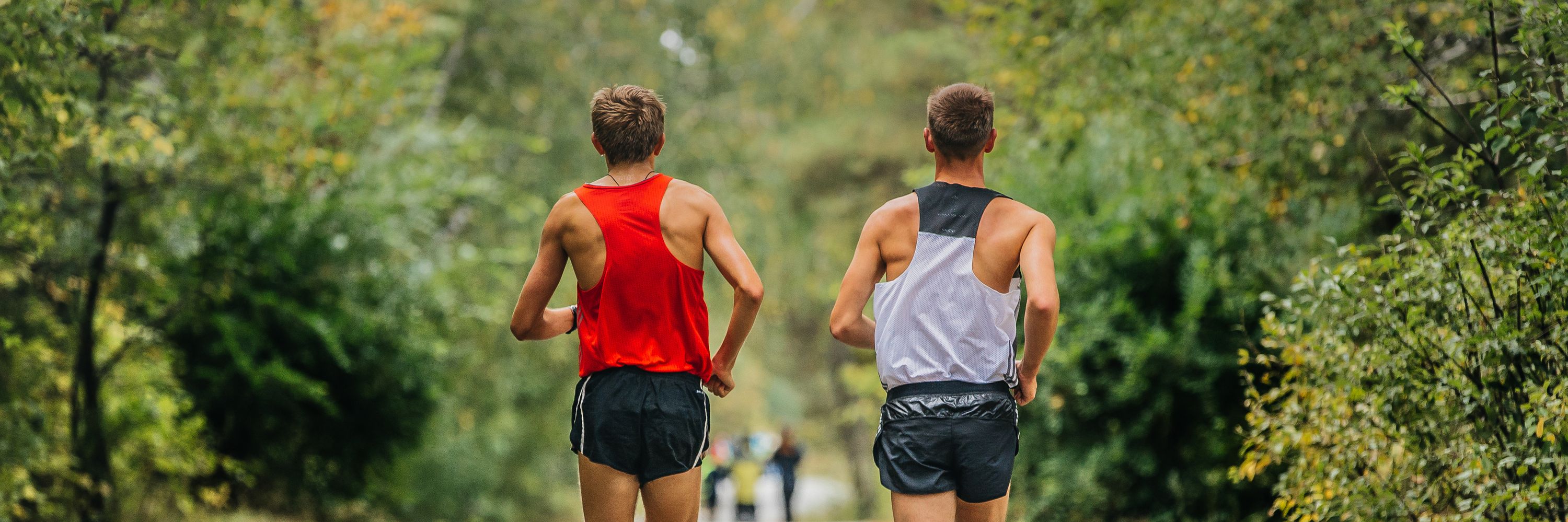 Sydney Trail Series