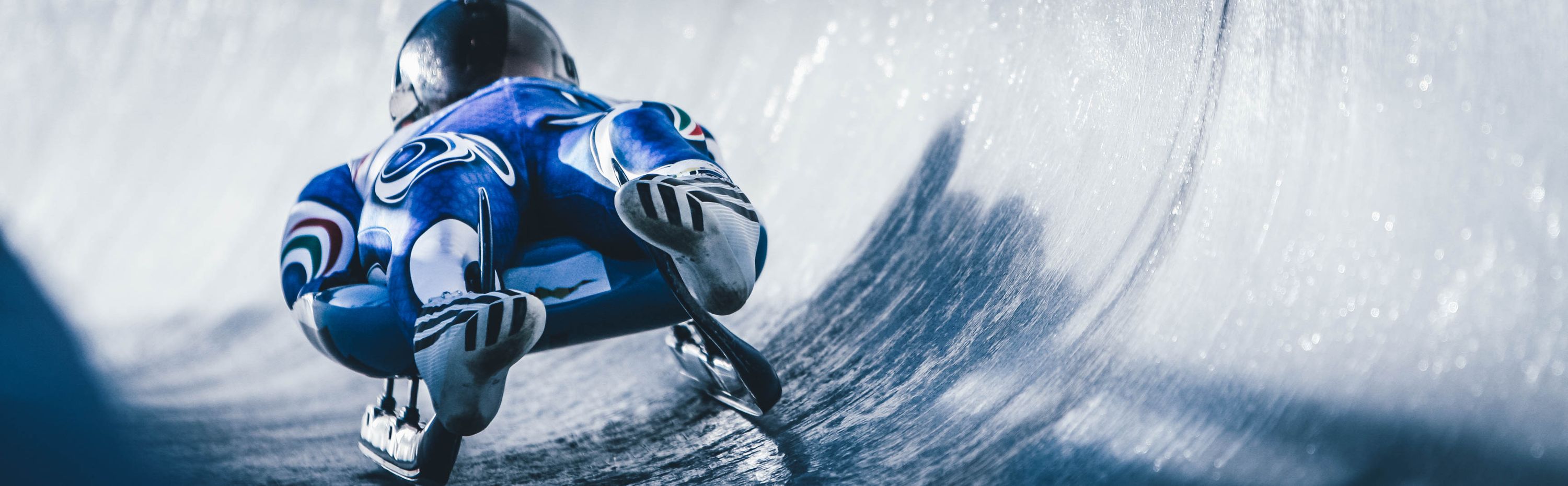 Luge banner