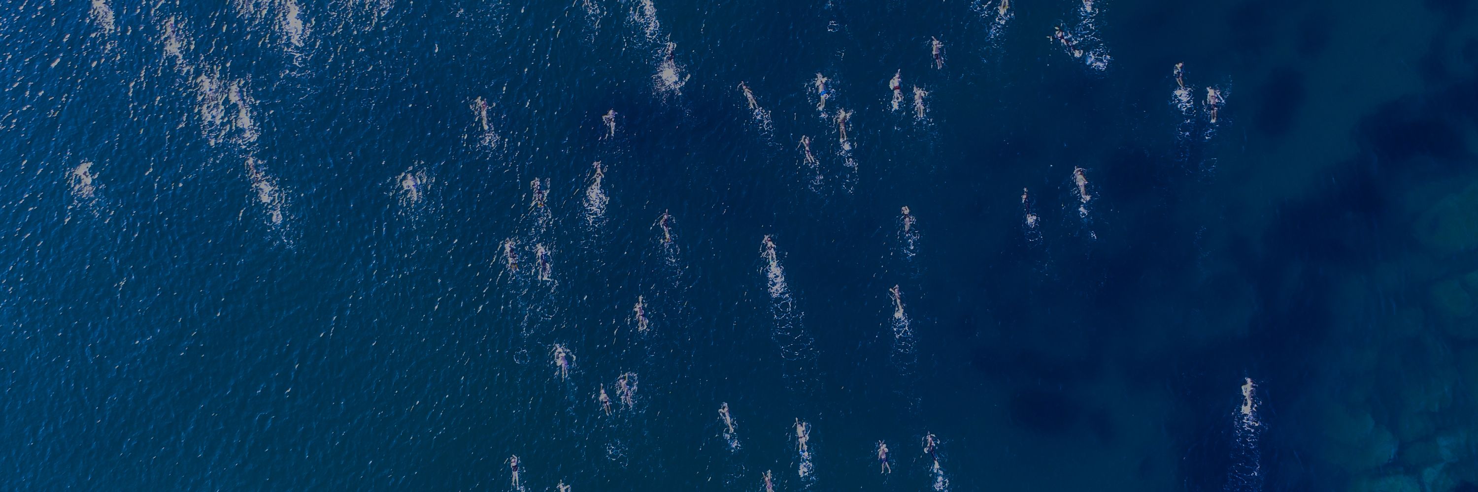Balmoral Swimmers