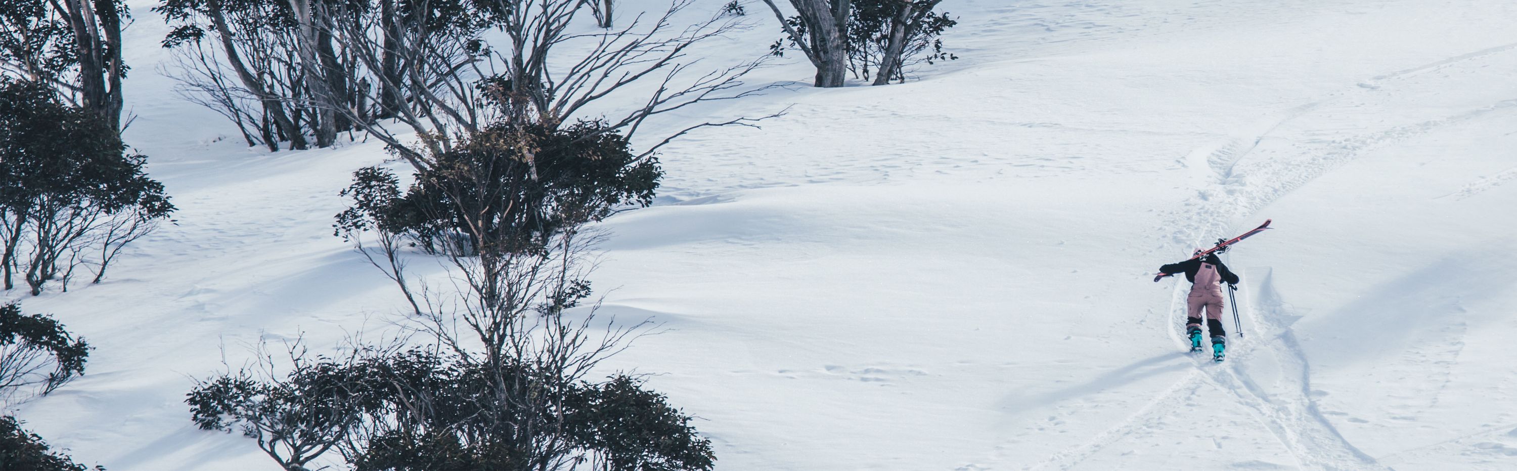 Skiing banner