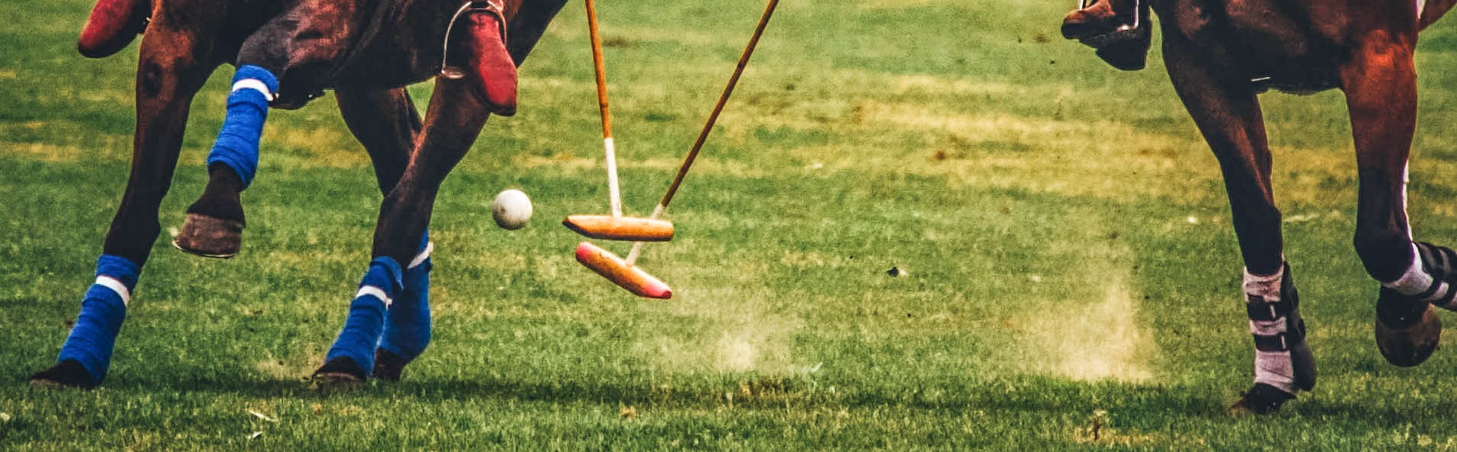 Polo banner