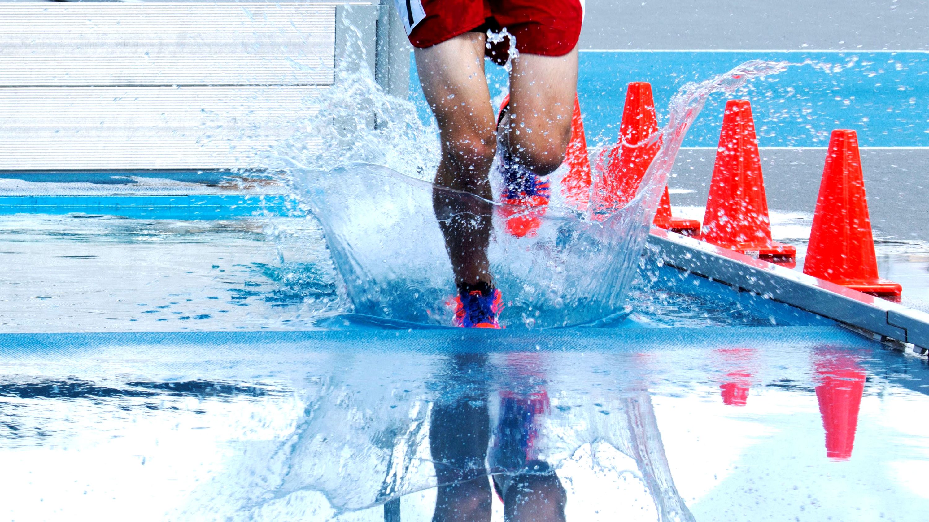 Steeplechase banner
