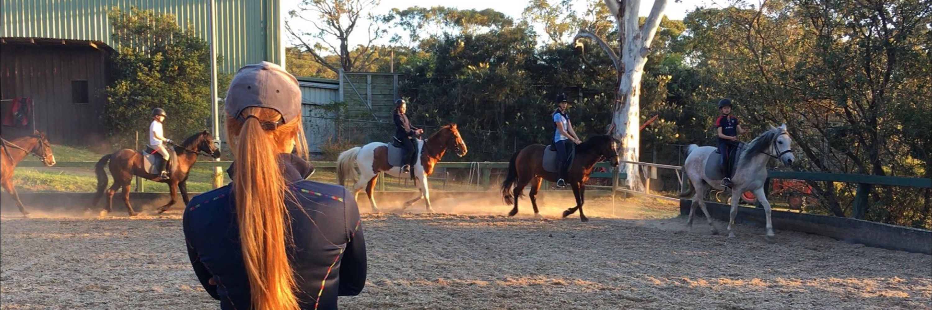 Palomino Riding School