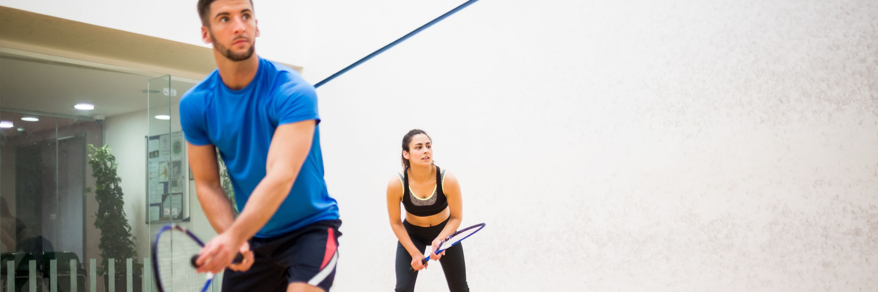 Flat Chat Squash Flat Chat Squash