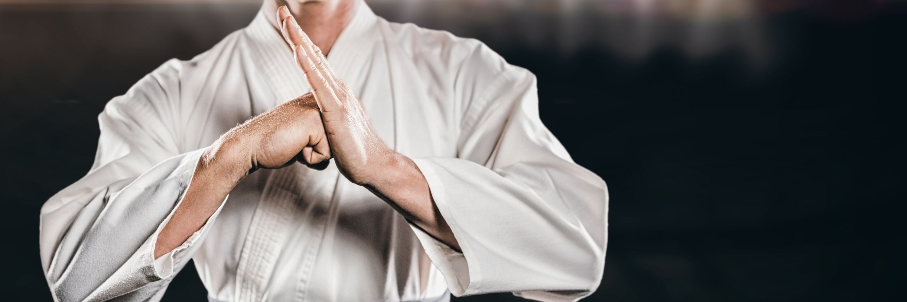Sydney Shotokan Gasshuku