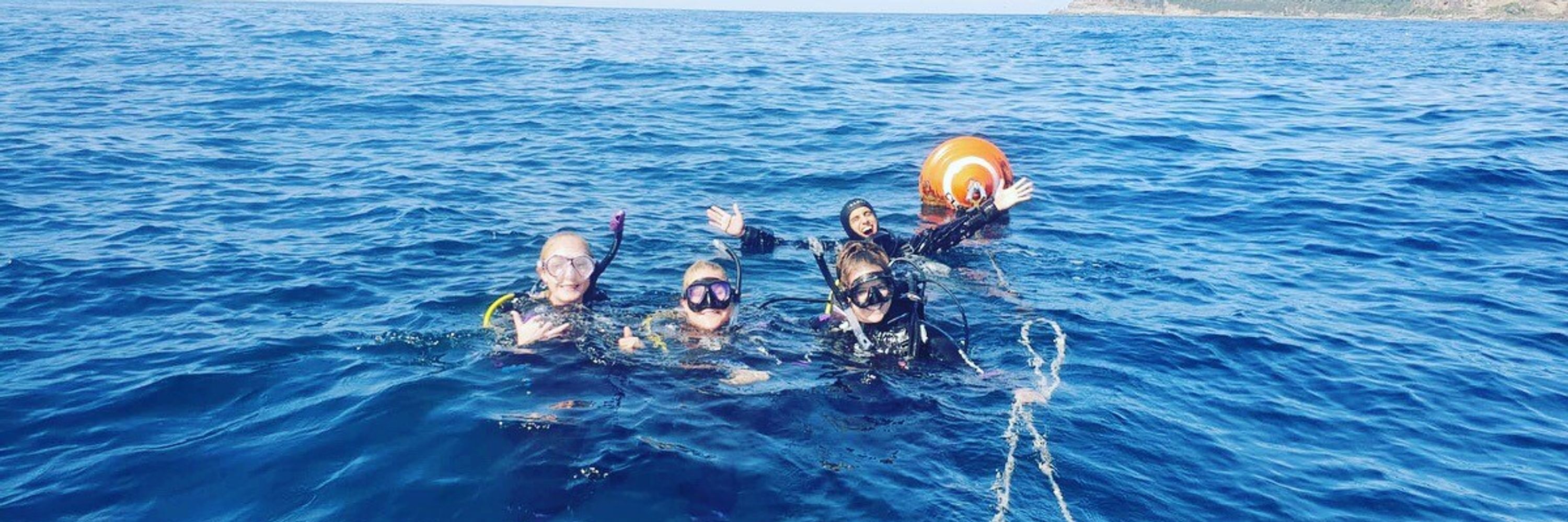 Dive Spear and Sport