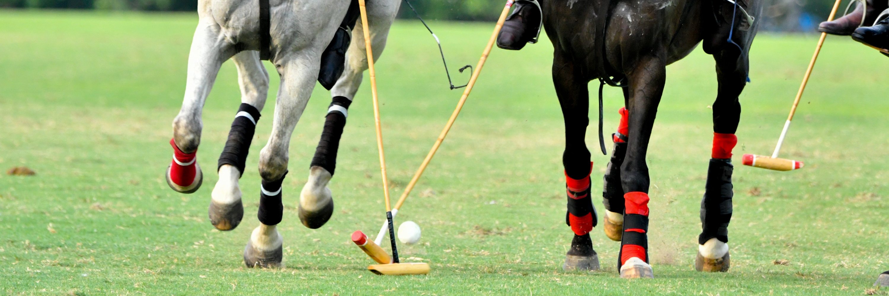 Riverlands Private Polo Lessons