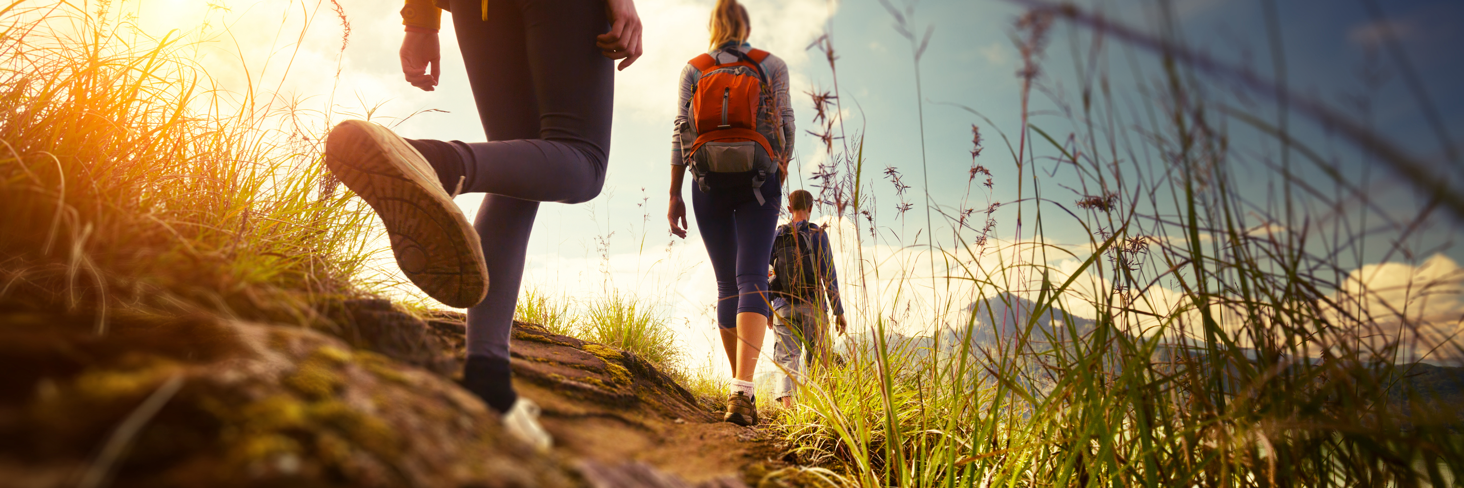 The Wanderers Walking Group - Kelly's Bush