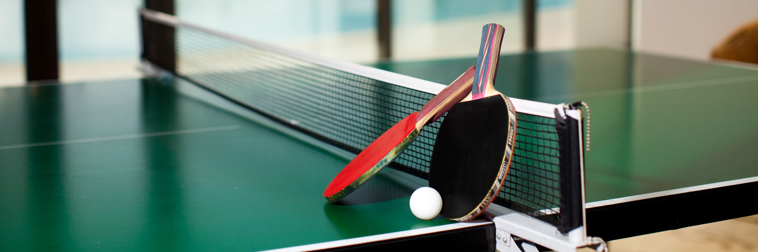 Social Table Tennis Social Table Tennis