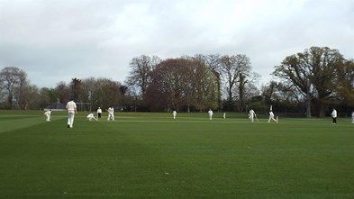 Bats and Bubbles Evening with the Sunrisers