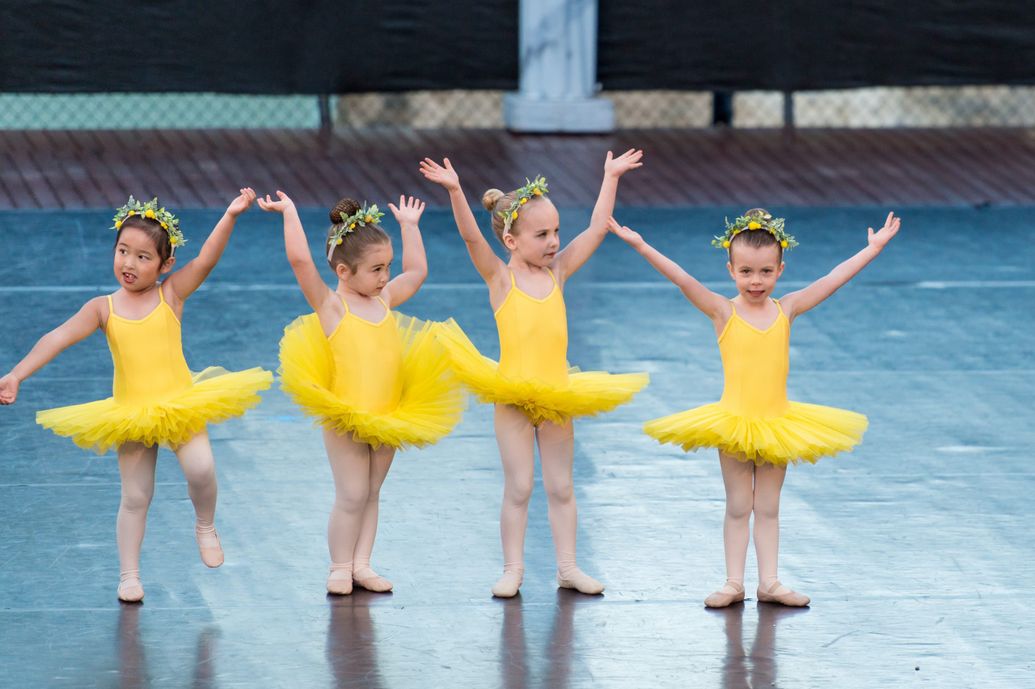 Pevnev Ballet Academy
