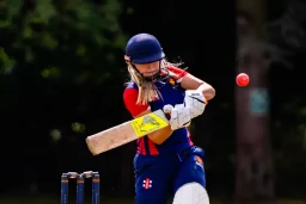 Felsted Cricket Programme