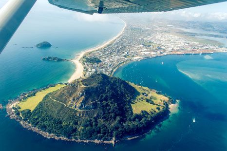 Fall for Tauranga