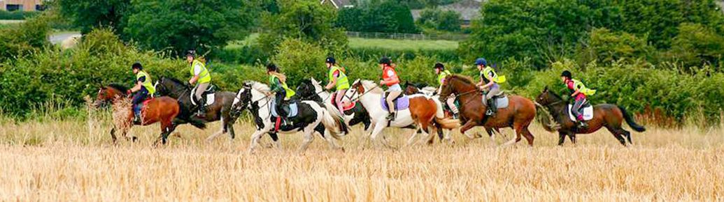 Pony Camp