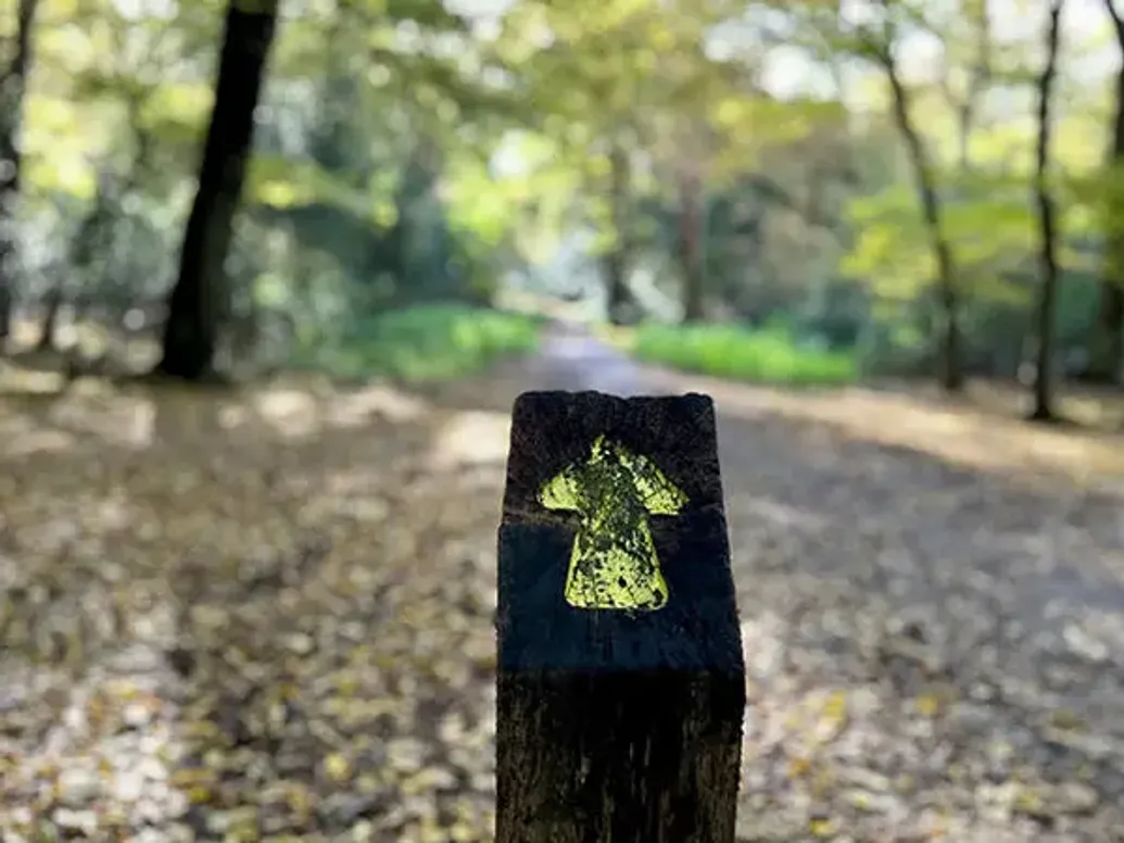 Football in Epping Forest