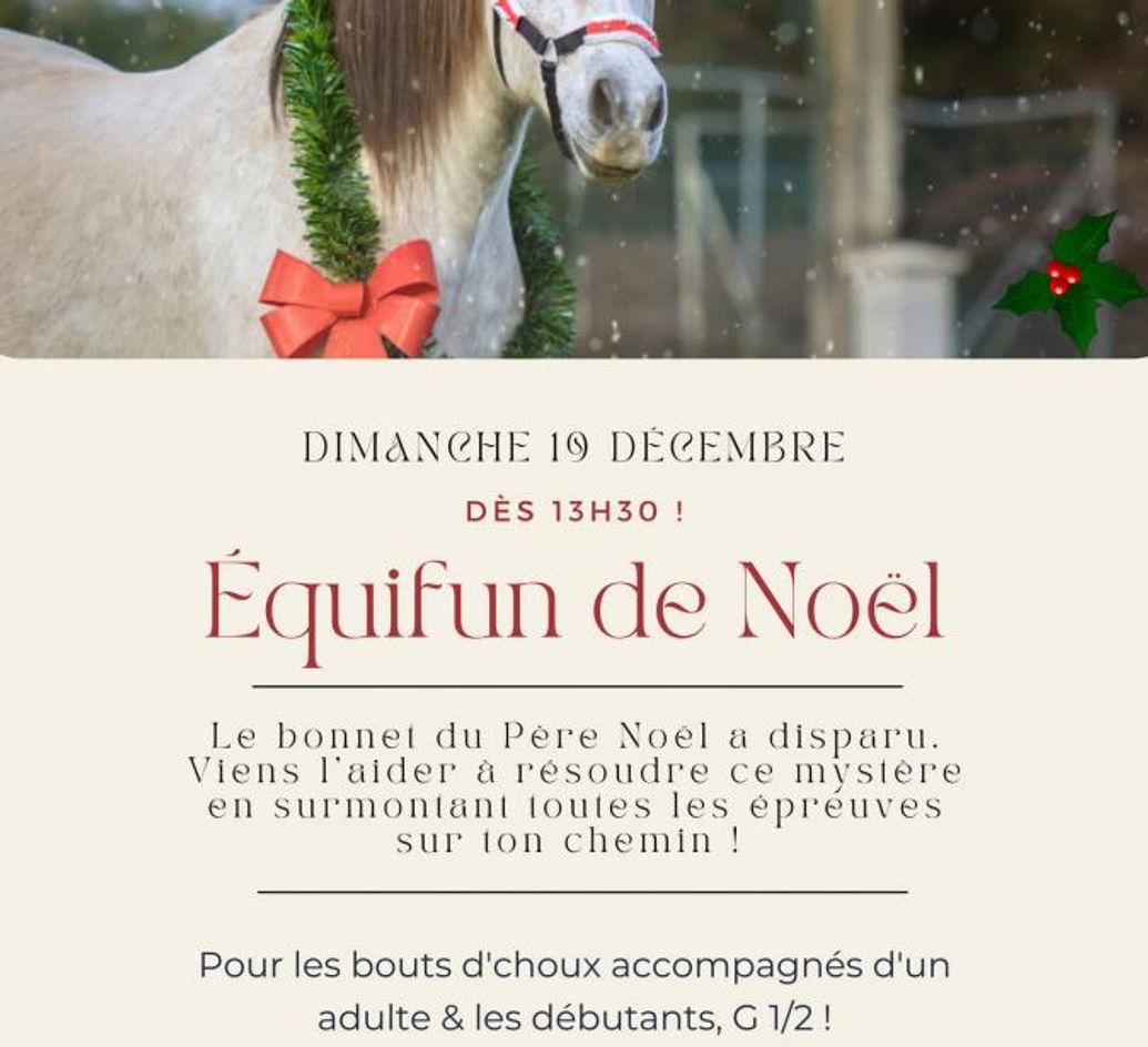 Equifun de Noël