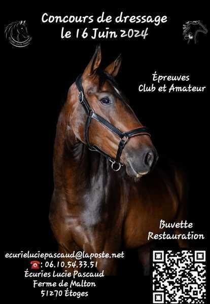Concours de Dressage