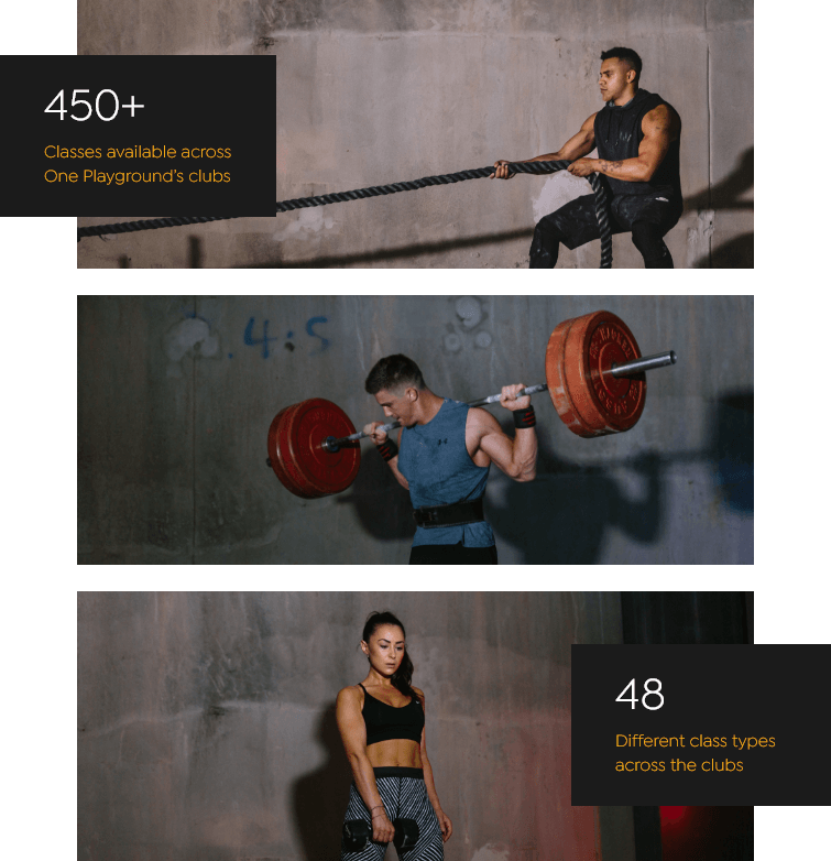 The Bunker Gym