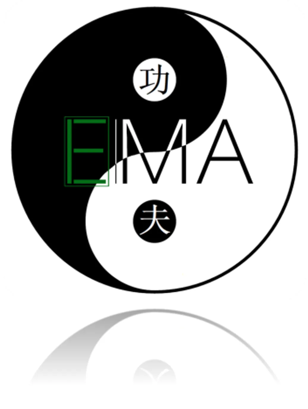 Evolutionary Martial Arts
