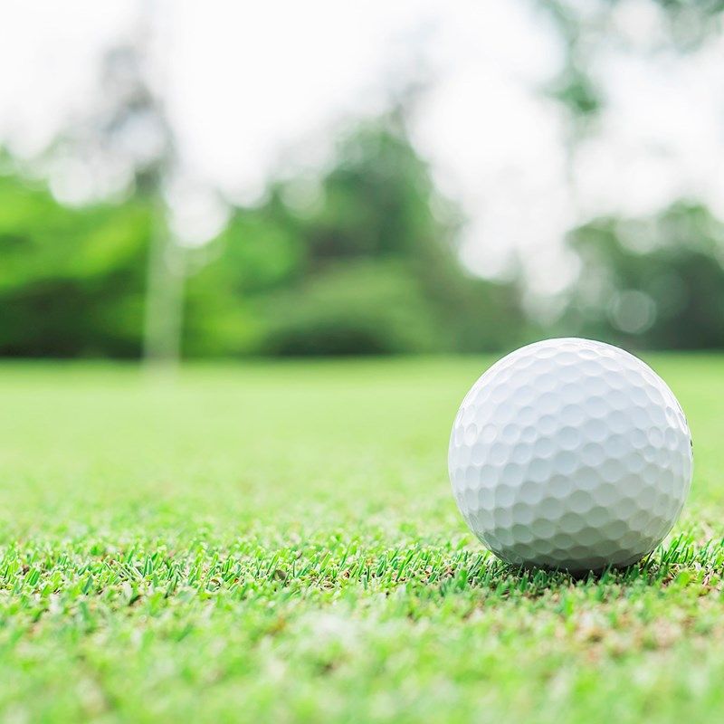 Golf and Bowling Greens