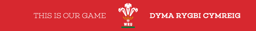 Rugby League - South Wales Saints
