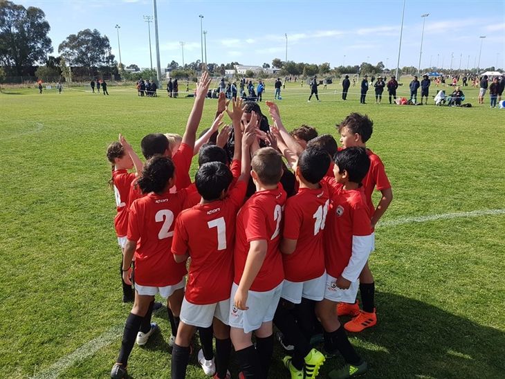Hampton Park United Sparrows FC Registration